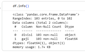 Hasil output df.info() di Google Colab