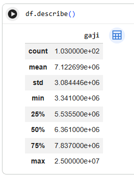 Hasil output df.describe() di Google Colab